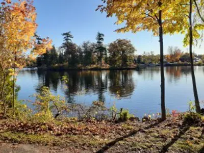 Fall View over a River